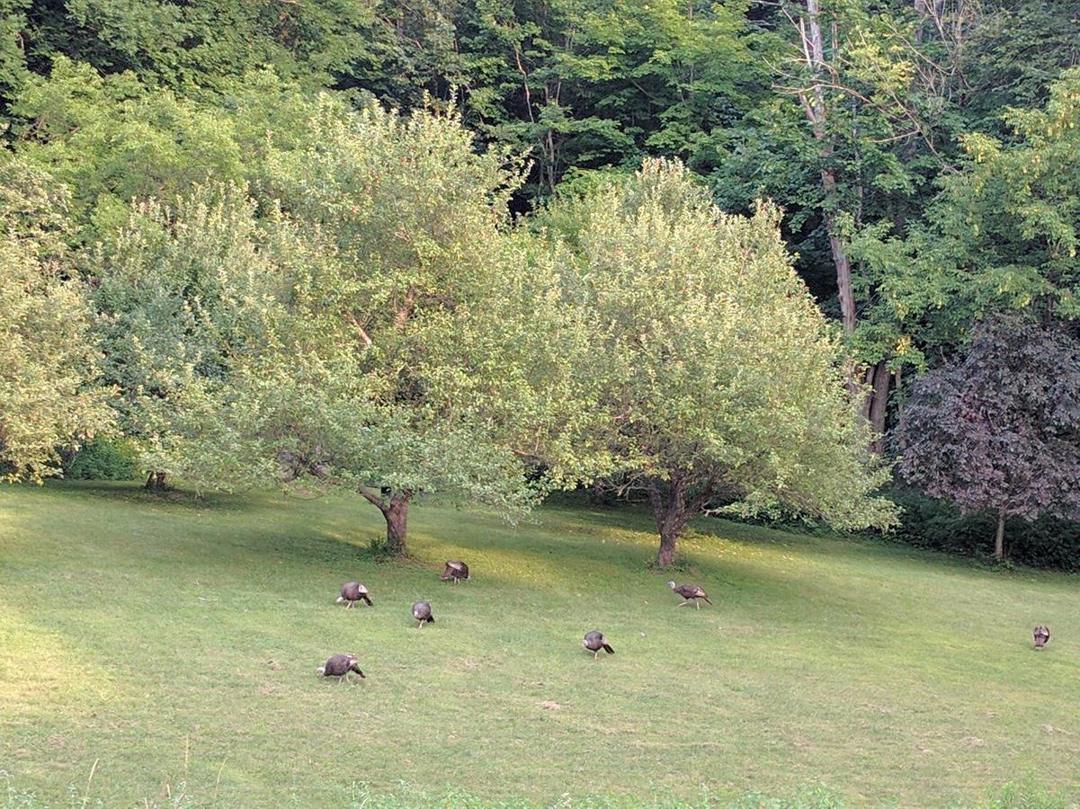 The Chase House Inn Cornish Esterno foto
